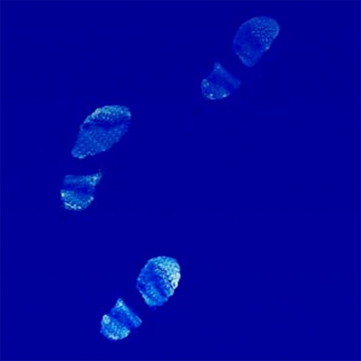 Decontamination Floor Mats
